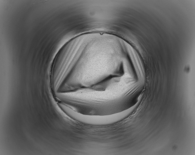 X0000099491483200806121341