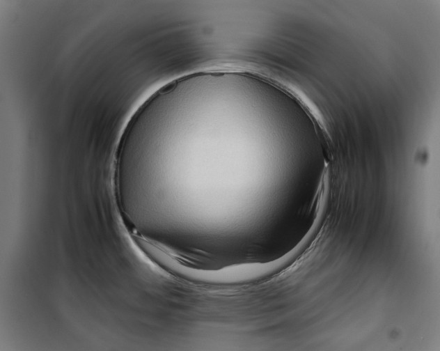 X0000099491484200806121341