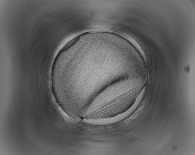 X0000099491485200806121341