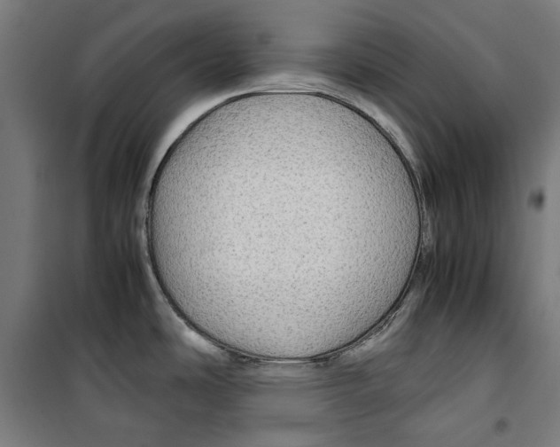 X0000099491486200806121341