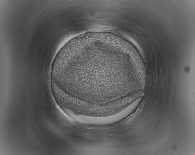 X0000099491487200806121341