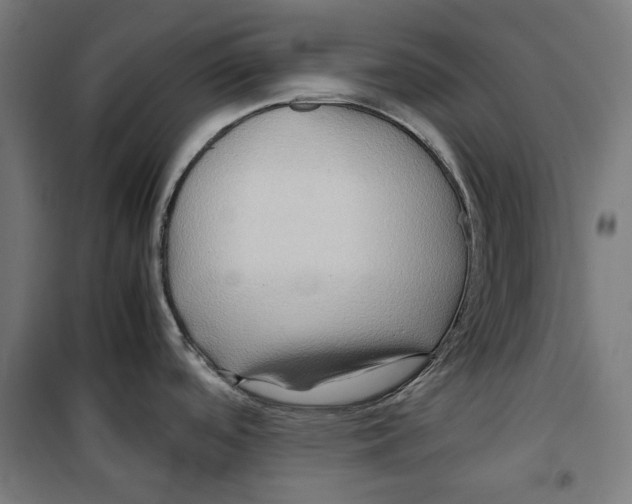 X0000099491488200806121341