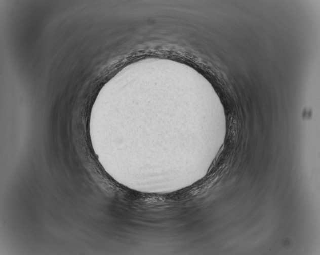 X0000099491489200806121340