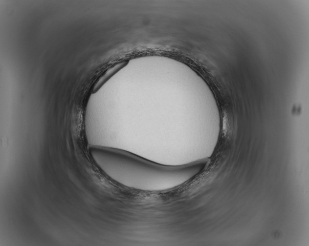 X0000099491492200806121340