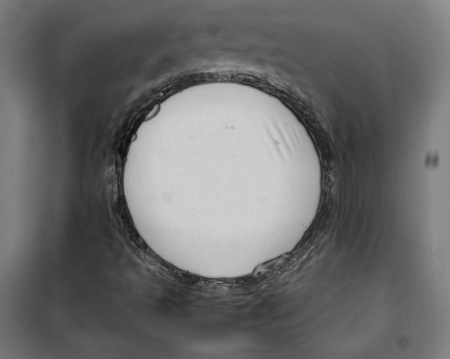 X0000099491493200806121340