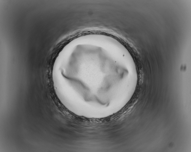 X0000099491494200806121340