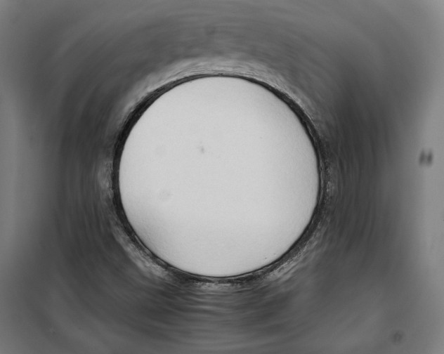 X0000099491499200806121340