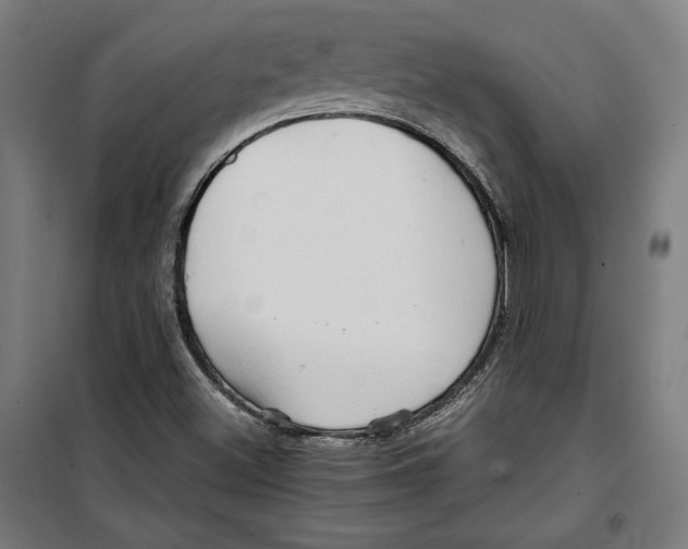 X0000099491500200806121340