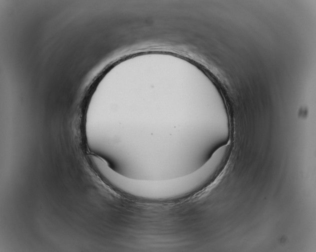 X0000099491502200806121340