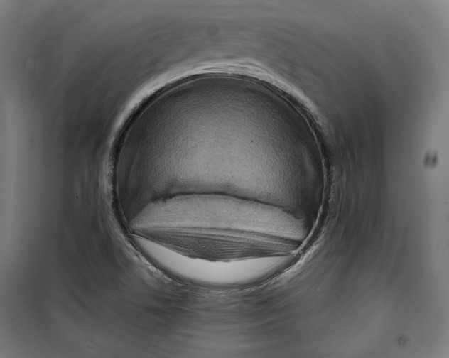 X0000099491506200806121340