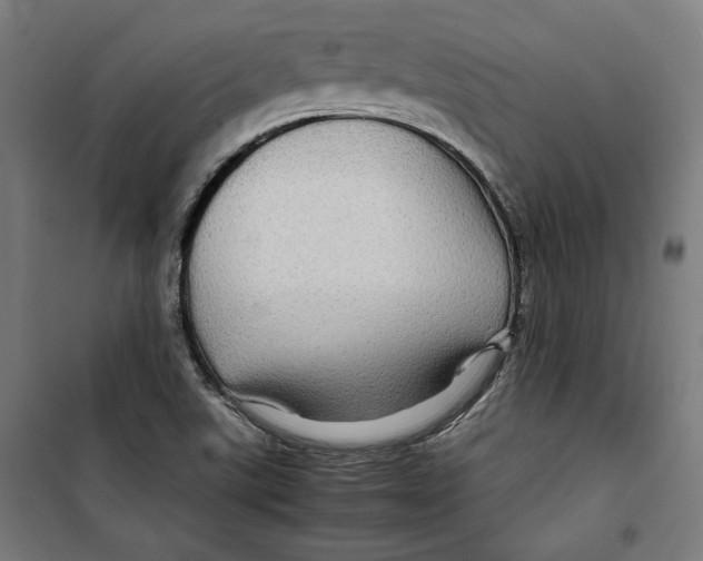 X0000099491507200806121340