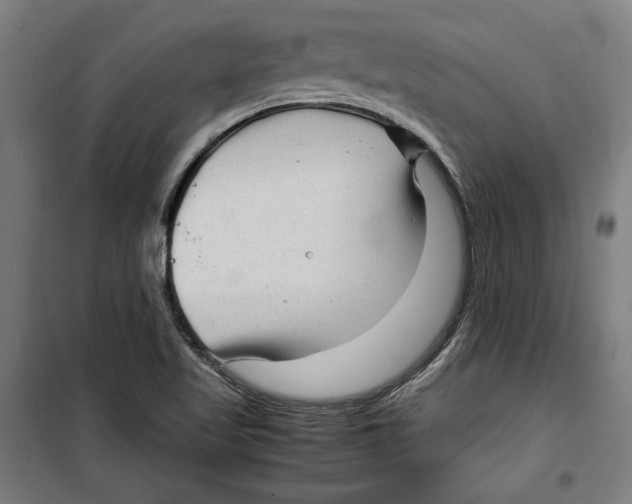 X0000099491509200806121340