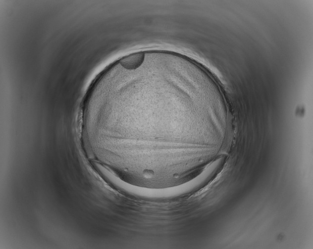 X0000099491510200806121340