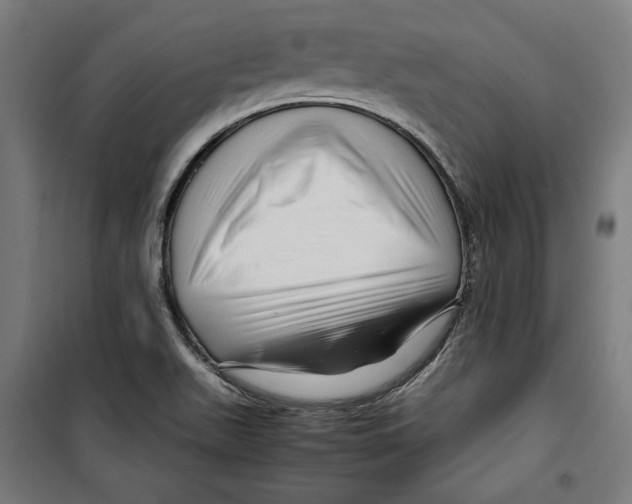 X0000099491511200806121340