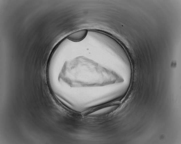 X0000099491513200806121340