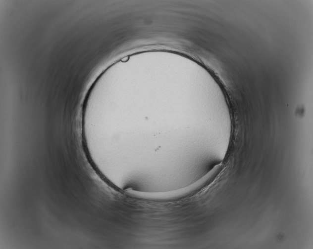 X0000099491516200806121340