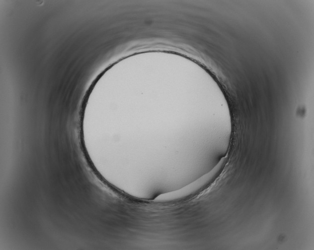 X0000099491518200806121341