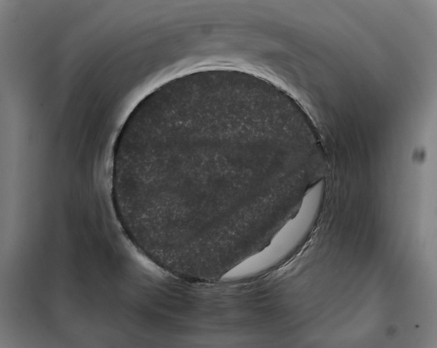 X0000099491519200806121341