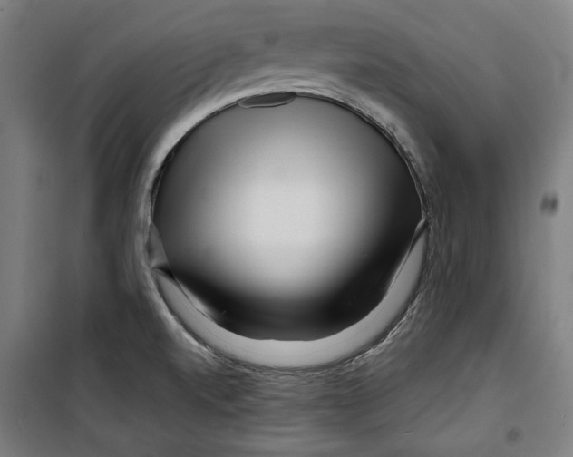 X0000099491520200806121341