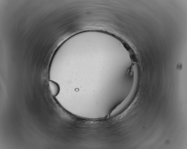 X0000099491521200806121341