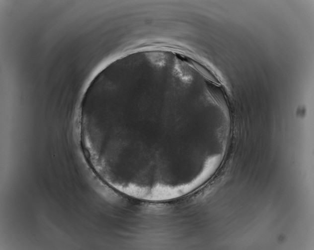 X0000099491522200806121341