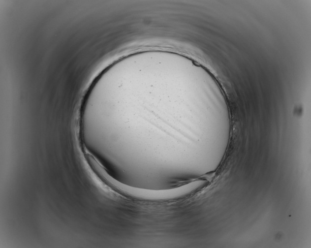 X0000099491523200806121341