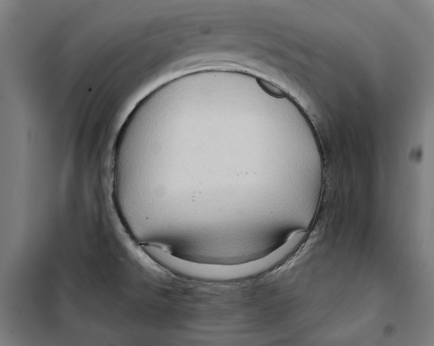 X0000099491526200806121341