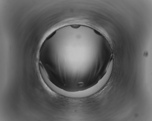 X0000099491528200806121341