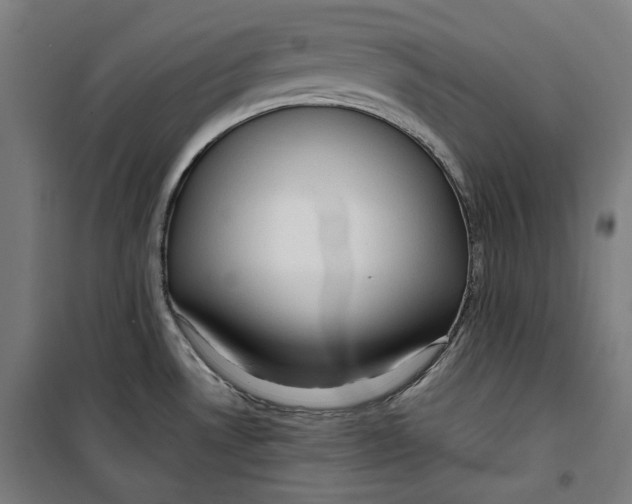 X0000099491530200806121341