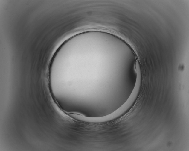 X0000099491531200806121341