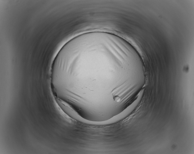 X0000099491532200806121341