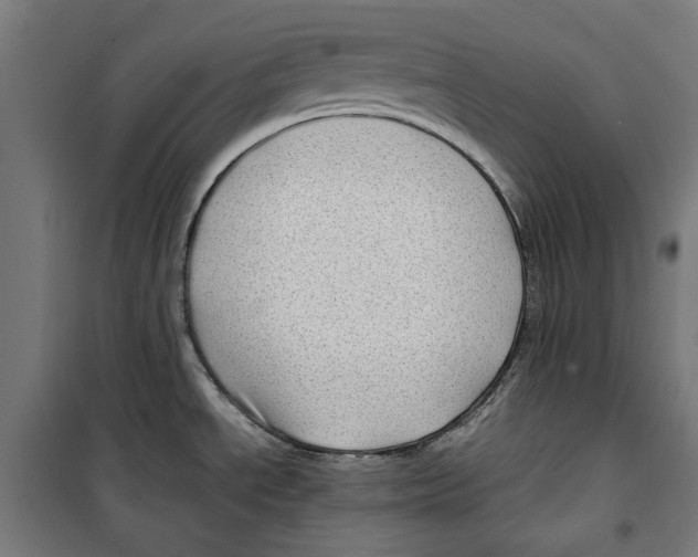 X0000099491534200806121341