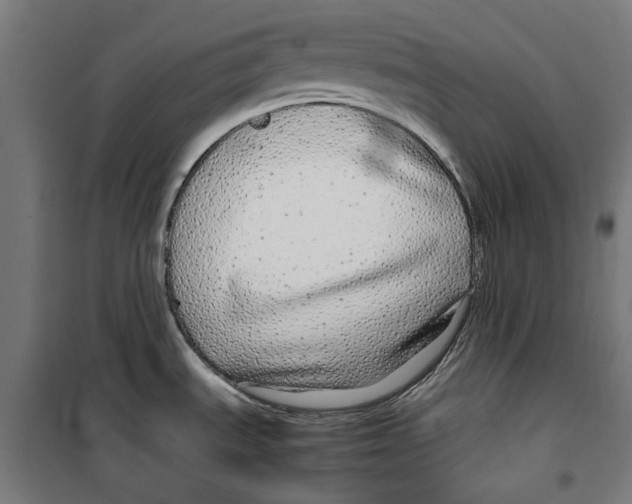 X0000099491535200806121341