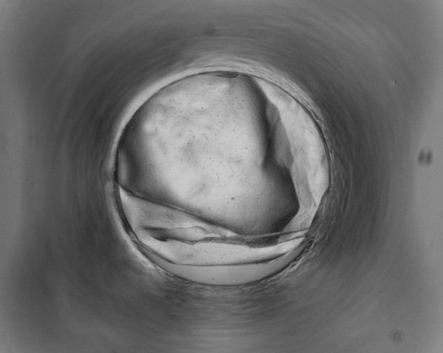 X0000099491536200806121341