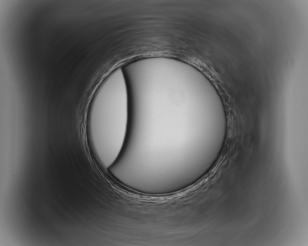X0000099500002200805150959