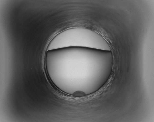 X0000099500003200805150959