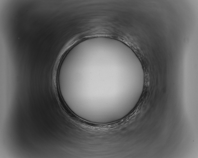 X0000099500004200805150959
