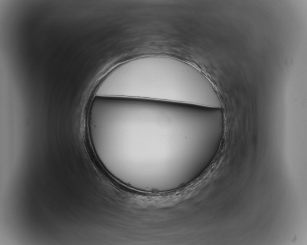 X0000099500005200805150959