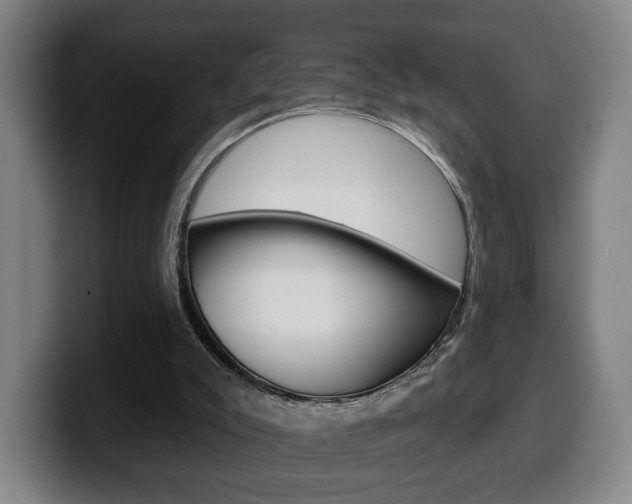 X0000099500007200805150959