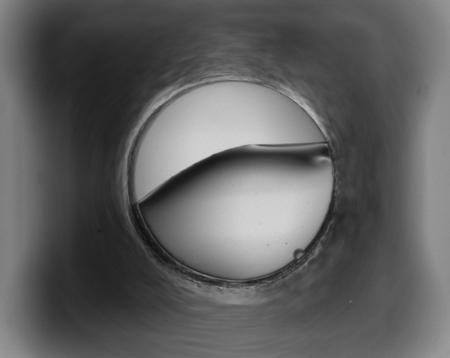 X0000099500008200805150959