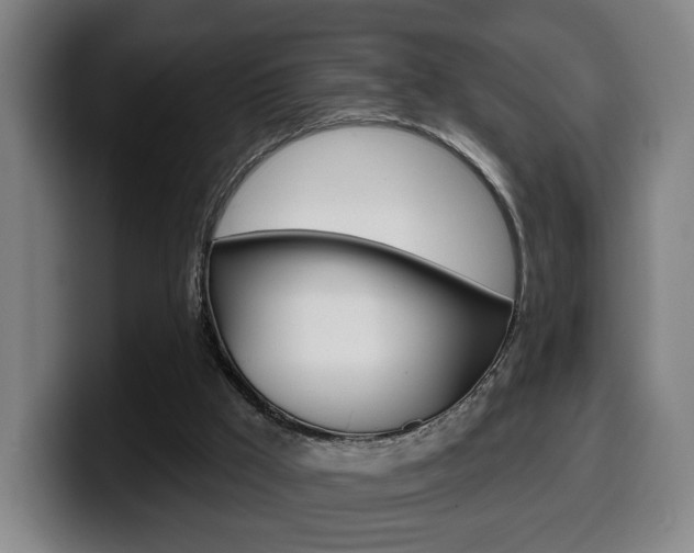 X0000099500009200805150959