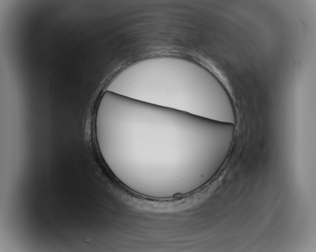 X0000099500010200805150959