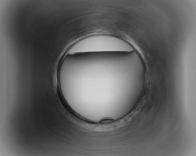 X0000099500011200805150959