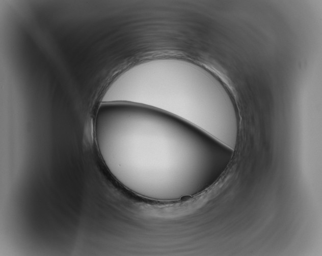 X0000099500013200805150959