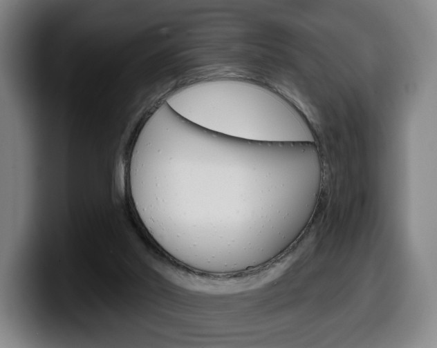 X0000099500014200805150959