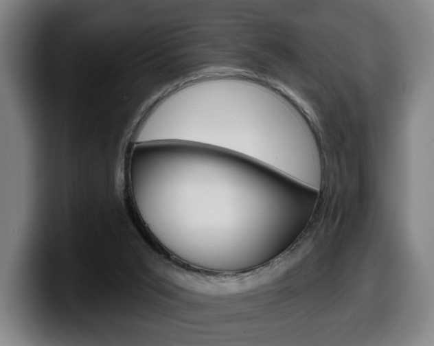 X0000099500015200805150959