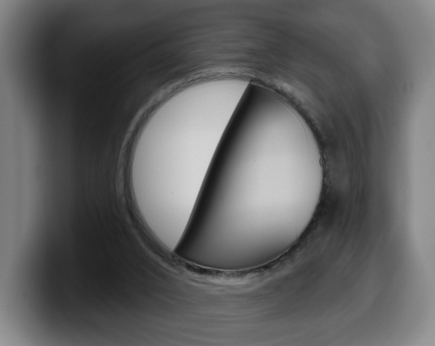X0000099500016200805150959
