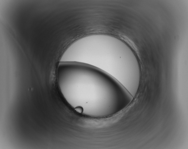 X0000099500017200805150959