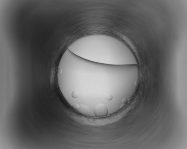 X0000099500018200805150959
