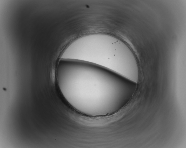 X0000099500019200805150959